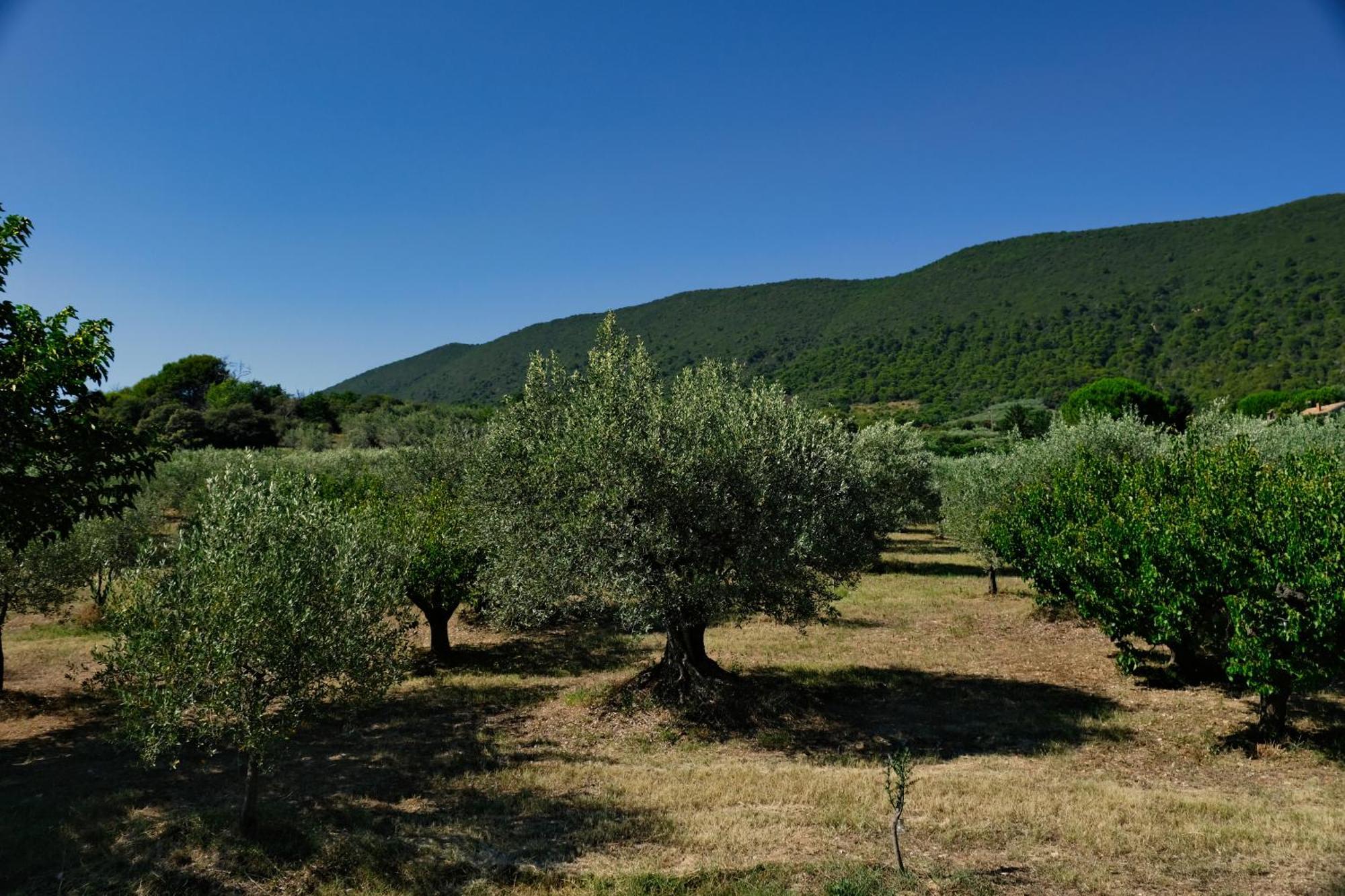 Terre De Lumiere Villa Nyons Bagian luar foto